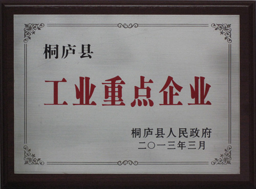 工業(yè)重點企業(yè)